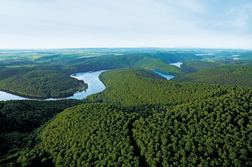 Blick auf Buchenmeer von Manfred Bauer